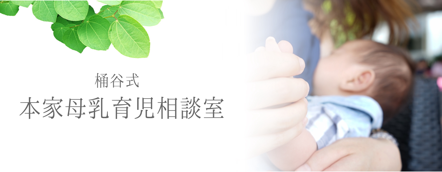 鳥取市,産後ケアとっとり,本家助産所